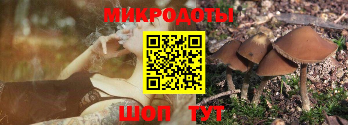 цены наркотик  Вход с VPN  Усть-Илимск  Псилоцибиновые грибы MAGIC MUSHROOMS 