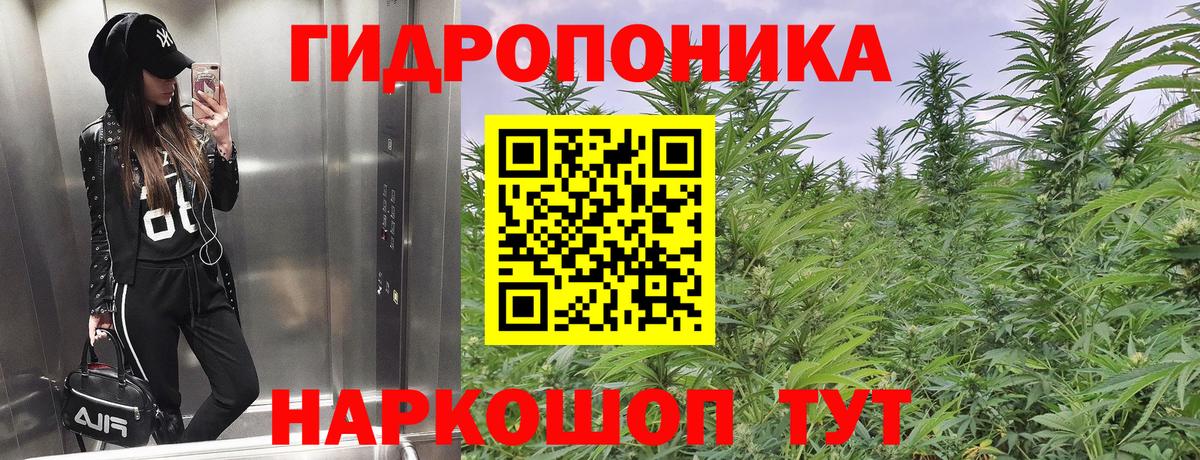 Бошки Шишки конопля  Бошки марихуана ГИДРОПОН  Усть-Илимск  Вход с VPN  Канабис LSD WEED  МАРИХУАНА планчик 